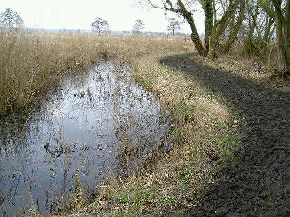 water en modder