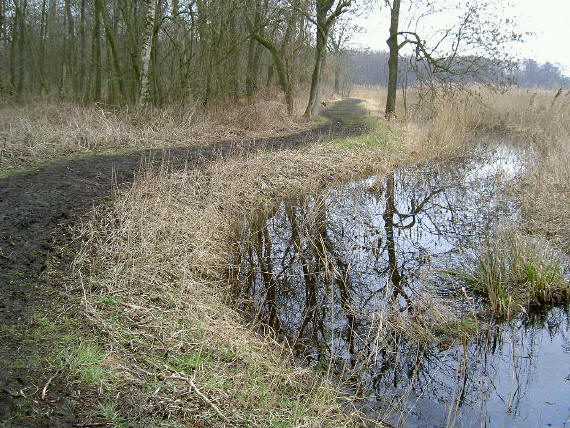 je kunt aan de foto bijna voelen hoe koud het was...