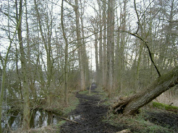 laantje