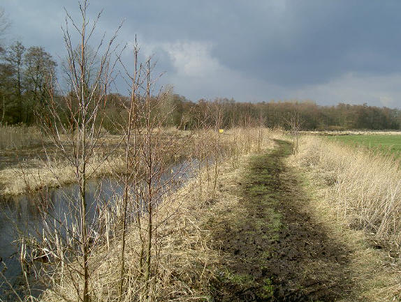 je kunt nu al zien dat het er over drie maanden weer totaal anders zal uitzien