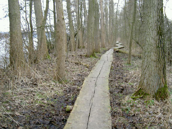 een stuk van het pad is van planken...