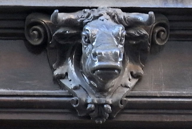 de ossenkop