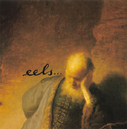 eels