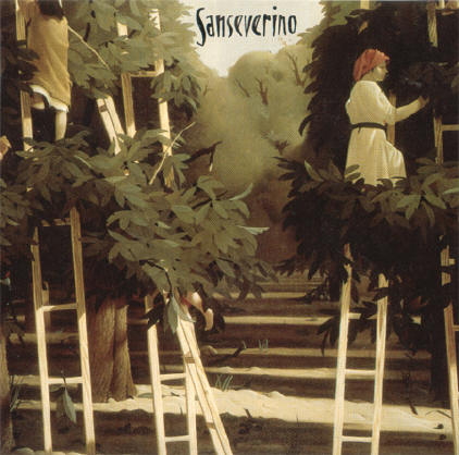 sanseverino