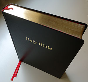 holy bible met visueel commentaar van broomberg en chanarin…