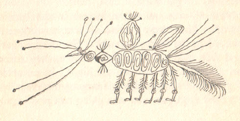 insect