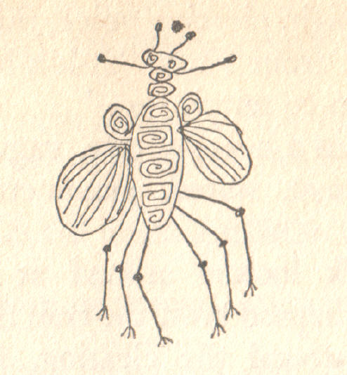insect