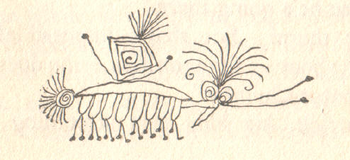 insect