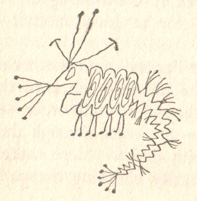 insect
