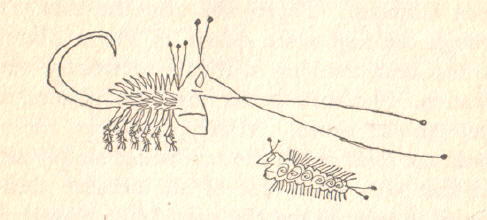 insecten