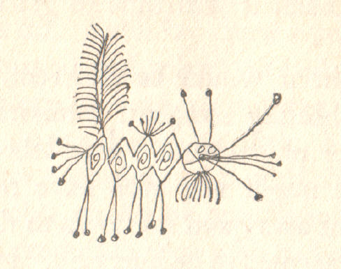 insect