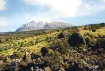 kilimandjaro