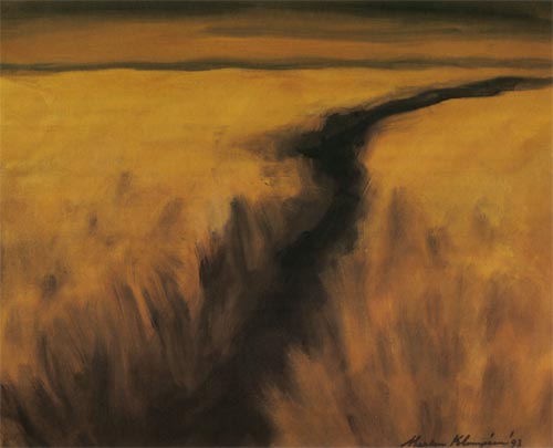 landschap in de schemering
