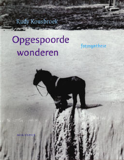 kousbroek spoort wonderen op…