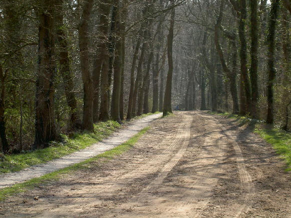 laantje
