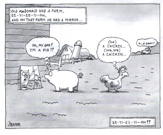 een spiegel op de boerderij...