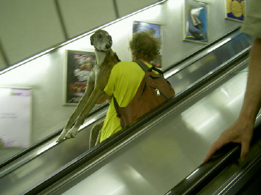 man met hond op de roltrap van de underground