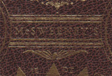 fragment