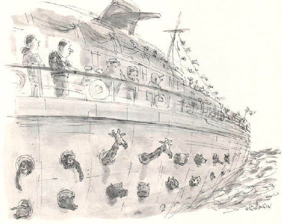 cruise?
