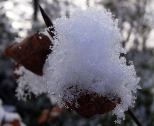 luchtige sneeuw