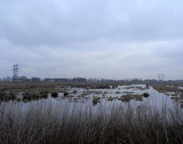 20 januari 2011