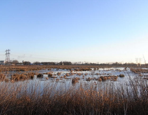 januari 2011
