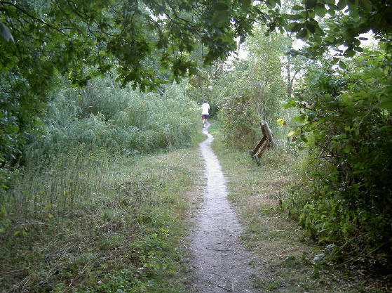 jogger