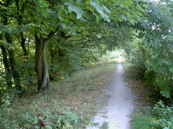 terugweg