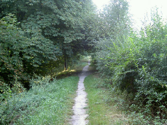 het pad halverwege