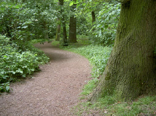 hier lijkt het nog het meeste op een park