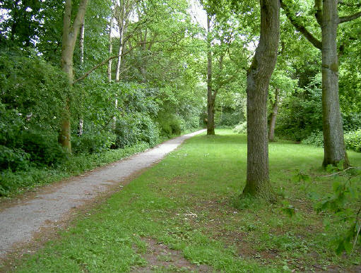 de rand tussen het park en de huizen van de wijk helpman