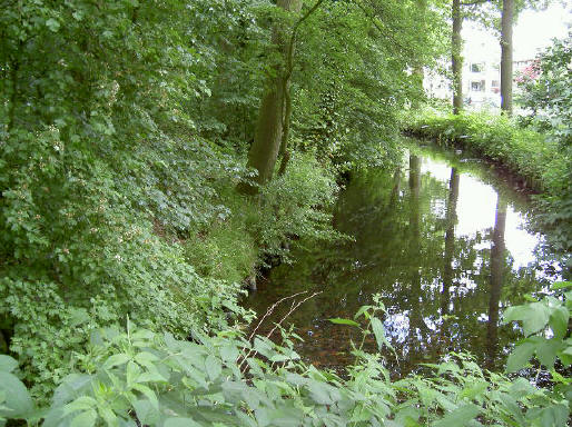 aan de zuidkant ligt er een sloot tussen park en weg...