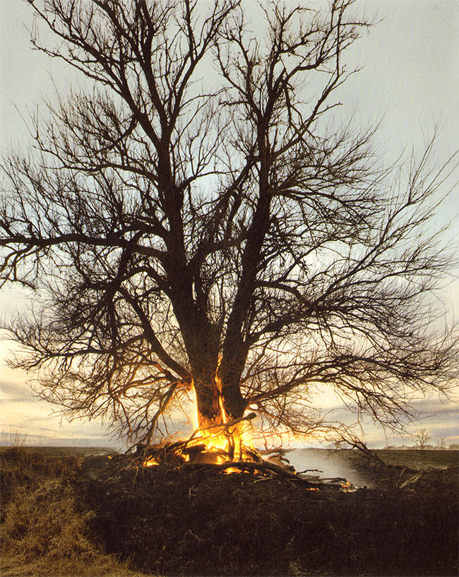 foto uit het boek
