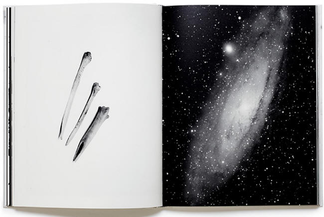 punches and andromeda