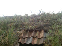 plaggenhut