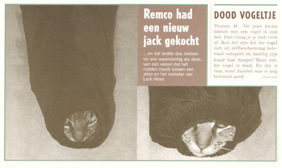 stuk van een pagina