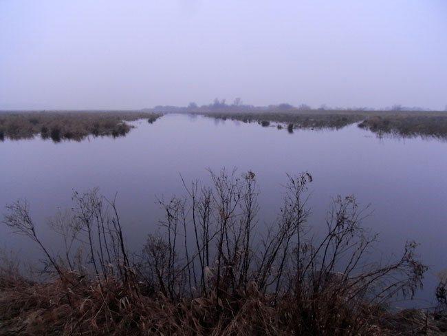 een stille mistige ochtend - februari 2011