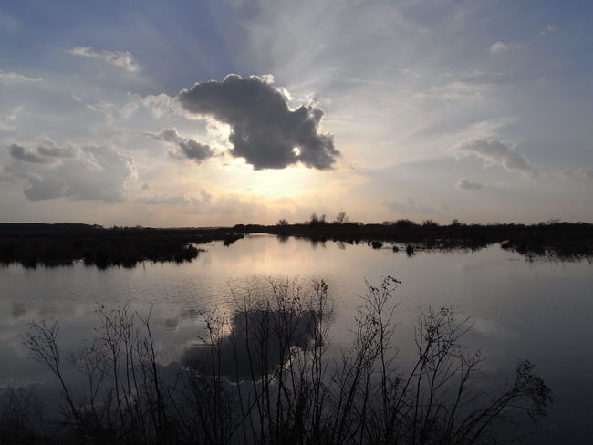 een wolkje - februari 2011