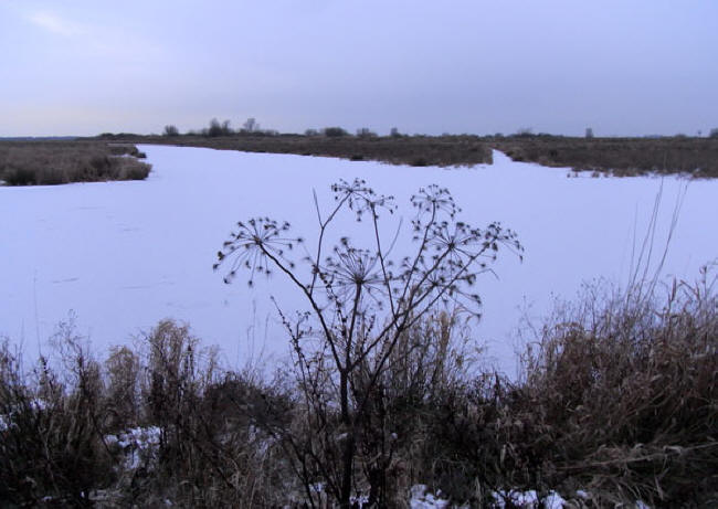 1 december 2010