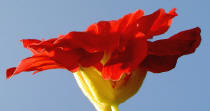 nou? mooi of mooi?