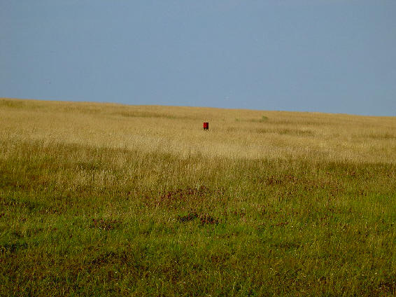 rood paaltje