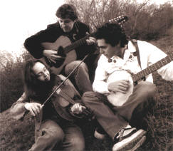 the mammals