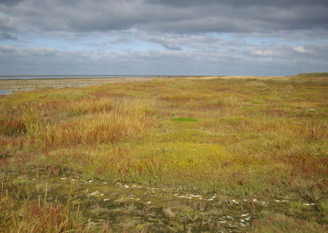 het goudgele strand van schier...