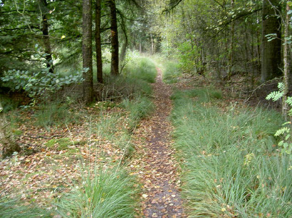 een wandeling die je drie keer per jaar kunt klopen, en dan ziet het er steeds anders uit...