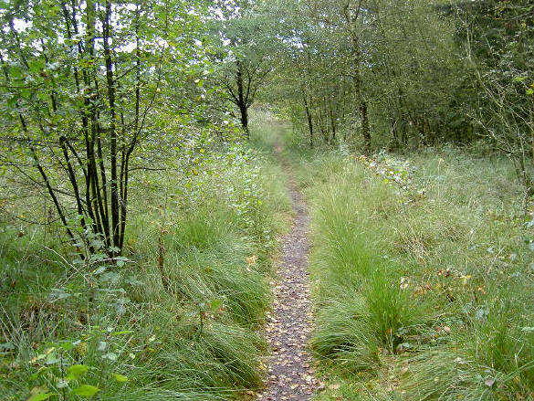 subtiel landschap...
