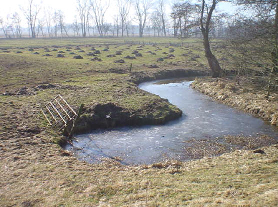 alles aan dit plekje vind ik mooi - het omgevallen hekje, die kromme sloot, het veld met die bultjes erin, de rij bomen op de achtergrond, alles....