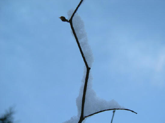sneeuw...