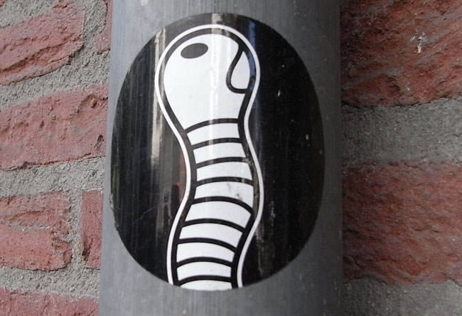 wormpje