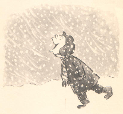 sneeuweter