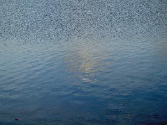 stille waddenzee